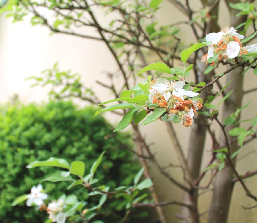 Venusberghotel 본 외부 사진